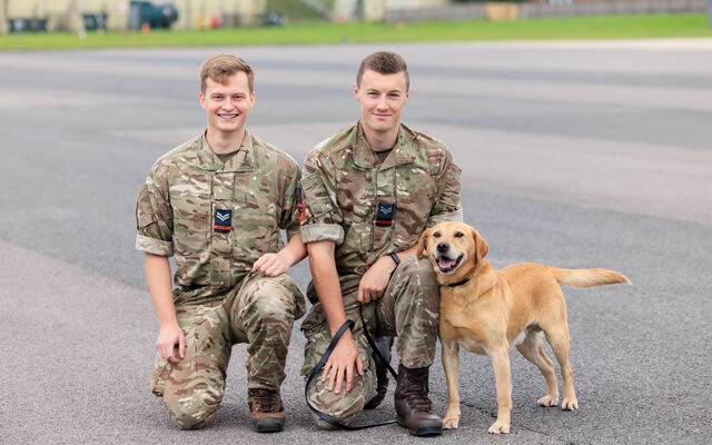 RAF Military Working Dogs