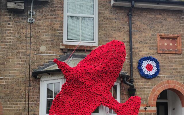 Spitfire in poppies on house