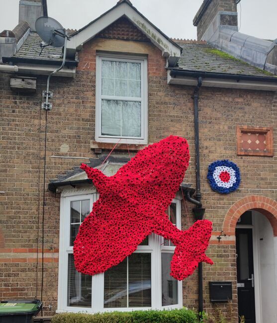 Spitfire in poppies on house