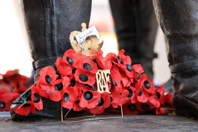 Remembrance poppies