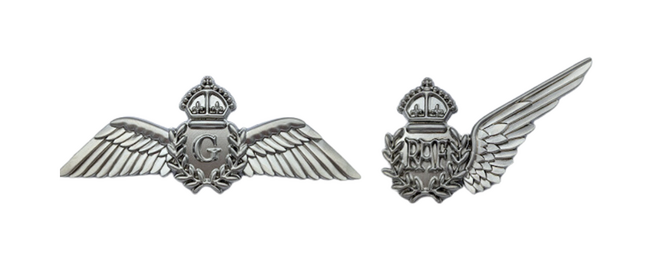 RAF badges